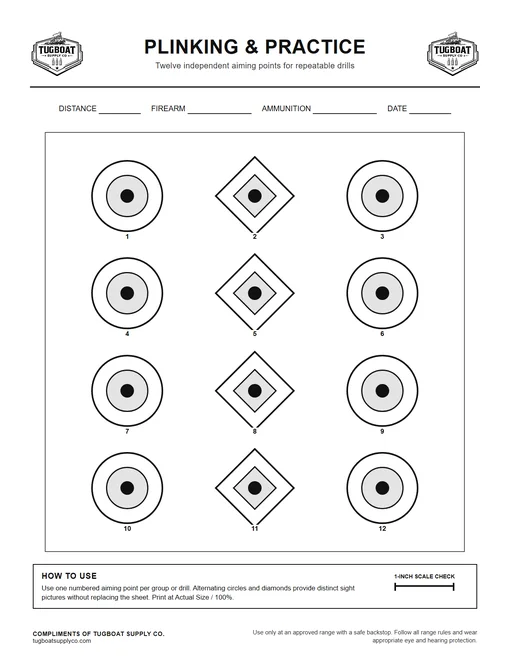 Preview of the Plinking and Practice target
